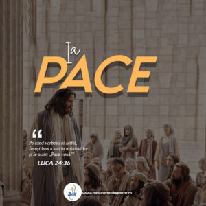 Copy of Copy of Luca 24 36