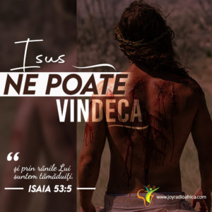 ISAIA 53 5rou